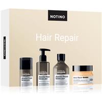 Beauty Discovery Box Notino Hair Repair (L'Oral Professionnel) set for women