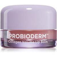 BIOHEAL BOH Probioderm Collagen Volume Lip Balm moisturising lip balm with collagen 15 ml