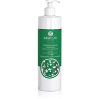 BasicLab Dermocosmetics Trichologis purifying shampoo to regulate sebum 300 ml