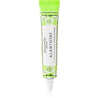 Benamr Alantone Creme de Lbios cream for lips 10 ml