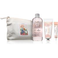 Benamr Crme de Rosto por Bela Silva skin care set