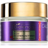 Bielenda Calcium + Q10 Concentrated, strongly regenerating anti-wrinkle cream for day 80+ firming anti-ageing day cream 50 ml