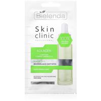Bielenda Skin Clinic Professional Collagen nourishing restorative mask night 8 g