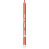 BioNike Color Lip Design contour lip pencil shade 202 Nude 1 pc