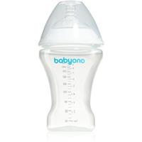 BabyOno Take Care baby bottle anti-colic 0m+ 260 ml