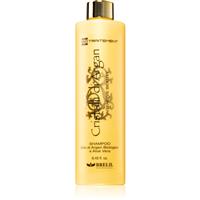 Brelil Numro Cristalli di Argan Shampoo moisturising shampoo for shiny and soft hair 250 ml