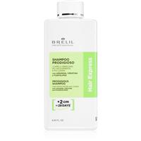 Brelil Professional Hair Express Prodigious Shampoo shampoo for hair growth and strengthening from the roots 250 ml
