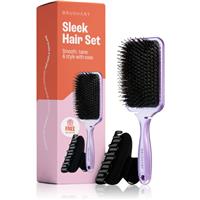 BrushArt Hair Sleek Hair Set economy pack for hair