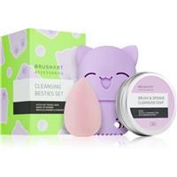BrushArt Accessories Cleansing besties set travel set