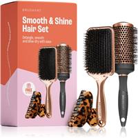 BrushArt Hair Smooth & Shine Hair Set gift set for hair