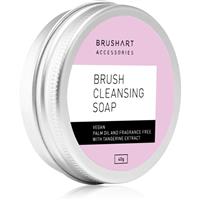 BrushArt