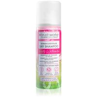 Brushworks Refresh & Revitalise Watermelon Dry Shampoo dry shampoo 50 ml