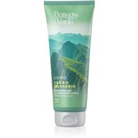 Bottega Verde Cedro Selvaggio 2-in-1 shower gel and shampoo 200 ml