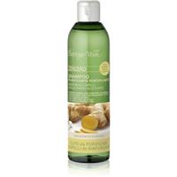 Bottega Verde Zenzero purifying shampoo for hair strengthening 250 ml
