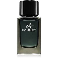 Burberry Mr. Burberry eau de parfum for men 100 ml