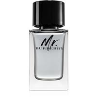 Burberry Mr. Burberry eau de toilette for men 100 ml