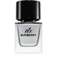 Burberry Mr. Burberry eau de toilette for men 50 ml