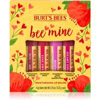 Burts Bees Bee Mine lip balm with beeswax flavour Pomegranate, Strawberry, Dragonfruit Lemon, Watermelon 4x4.25 g