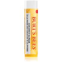 Burts Bees Lip Care moisturising lip balm (with Coconut & Pear) 4.25 g