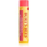Burts Bees Lip Care refreshing balm for lips (with Pink Grapefruit) 4,25 g