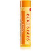 Burts Bees Lip Care nourishing lip balm (with Mango Butter) 4,25 g