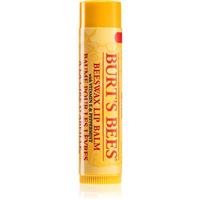Burts Bees Lip Care lip balm with beeswax (with Vitamin E & Peppermint) 4.25 g
