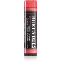 Burts Bees Tinted Lip Balm Lip Balm Shade Rose 4.25 g
