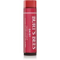Burts Bees Tinted Lip Balm lip balm shade Daisy 4.25 g