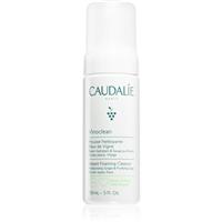 Caudalie Vinoclean foam cleanser for all skin types 50 ml