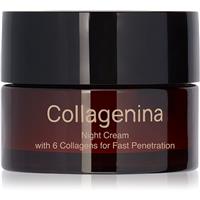 Collagenina Grade 3 Night Cream firming night cream with collagen 50 ml