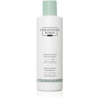 Christophe Robin Hydrating Shampoo with Aloe Vera moisturising shampoo with aloe vera 250 ml