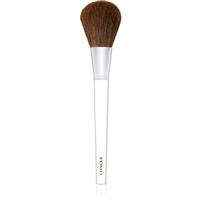 Clinique Powder Brush powder brush 1 pc