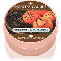 Country Candle Pinecone & Pomander tealight candle 42 g