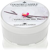 Country Candle Vanilla Orchid tealight candle 42 g