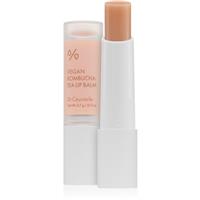 Dr.Ceuracle Vegan Kombucha Tea Lip Balm moisturising lip balm with nourishing effect 3.7 g
