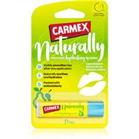 Carmex Pear moisturising lip balm stick 4.25 g