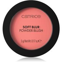 Catrice Soft Blur Powder Brush powder blusher with matt effect shade 040 Pink Positive 5 g