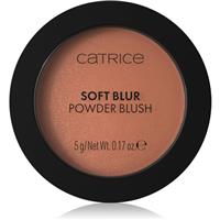 Catrice Soft Blur Powder Brush powder blusher with matt effect shade 050 Born to blonze 5 g