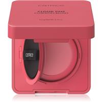 Catrice Cloud Tint Cushion Blush cushion blusher shade C030 Head in the Cloud 4 g