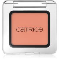 Catrice Art Couleurs eyeshadow shade 480 Apricot Touch 2 g