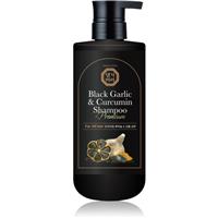 DAENG GI MEO RI Black Garlic & Curcumin Shampoo deeply regenerating shampoo for hair growth and strengthening from the roots 500 ml