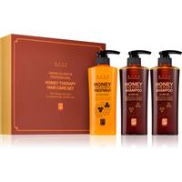 DAENG GI MEO RI Honey Therapy Professional Hair Care Set gift set with nourishing and moisturising effect