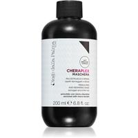 Diego dalla Palma Rebuilding And Repairing Mask regenerating mask for severely damaged and brittle hair 200 ml