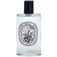 Diptyque Eau Rose eau de toilette for women 100 ml