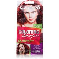 Delia Cosmetics Cameleo Coloring Shampoo toning shampoo for hair shade 66.56 Wild Plum 40 ml