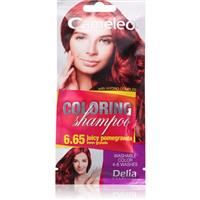 Delia Cosmetics Cameleo Coloring Shampoo toning shampoo for hair shade 6.65 Juicy Pomegranate 40 ml