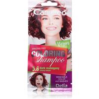 Delia Cosmetics Cameleo Coloring Shampoo toning shampoo for hair shade 5.6 Dark Mahogany 40 ml