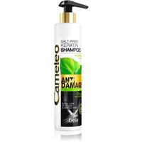 Delia Cosmetics Cameleo BB keratin shampoo for damaged hair 250 ml