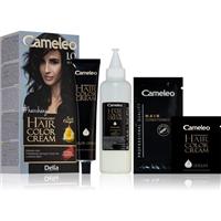 Delia Cosmetics Cameleo Omega permanent hair dye shade 1.0 Black
