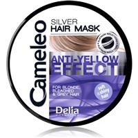 Delia Cosmetics Cameleo Silver hair mask neutralising yellow tones 200 ml